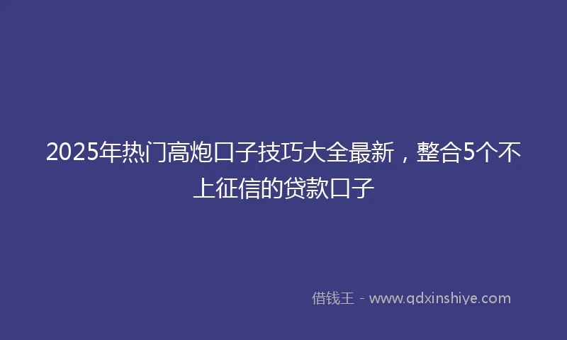2025年热门高炮口子技巧大全最新，整合5个不上征信的贷款口子