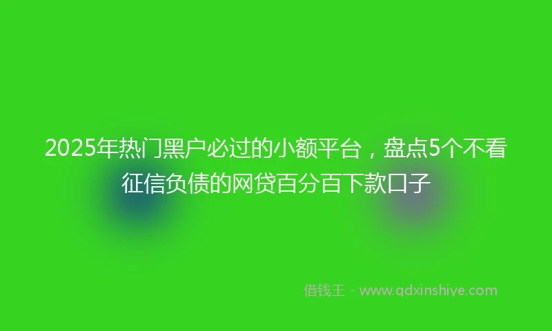 2025年热门黑户必过的小额平台，盘点5个不看征信负债的网贷百分百下款口子