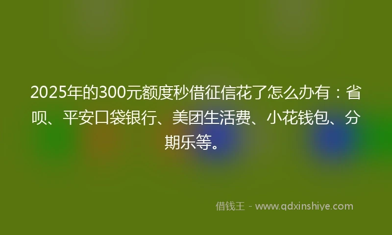 2025年的300元额度秒借征信花了怎么办有：省呗、平安口袋银行、美团生活费、小花钱包、分期乐等。
