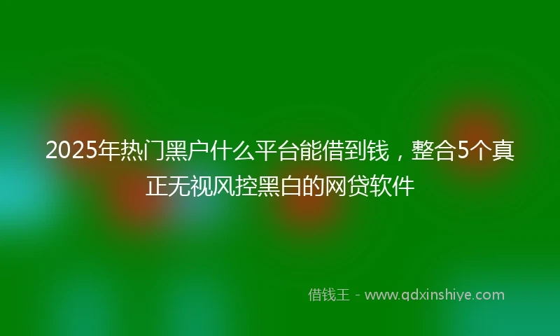 2025年热门黑户什么平台能借到钱，整合5个真正无视风控黑白的网贷软件