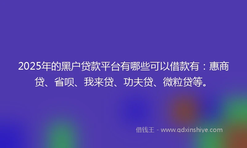 2025年的黑户贷款平台有哪些可以借款有：惠商贷、省呗、我来贷、功夫贷、微粒贷等。
