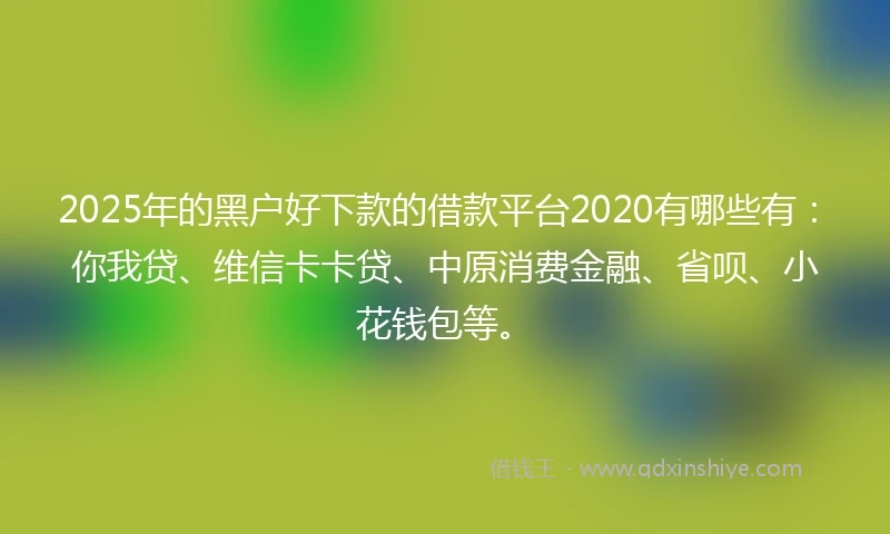 2025年的黑户好下款的借款平台2020有哪些有：你我贷、维信卡卡贷、中原消费金融、省呗、小花钱包等。