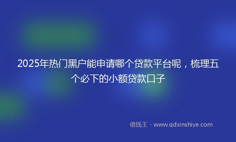 2025年热门黑户能申请哪个贷款平台呢，梳理五个必下的小额贷款口子