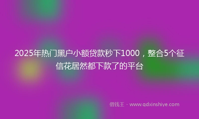 2025年热门黑户小额贷款秒下1000，整合5个征信花居然都下款了的平台