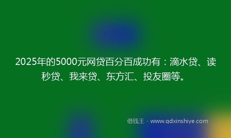 2025年的5000元网贷百分百成功有：滴水贷、读秒贷、我来贷、东方汇、投友圈等。
