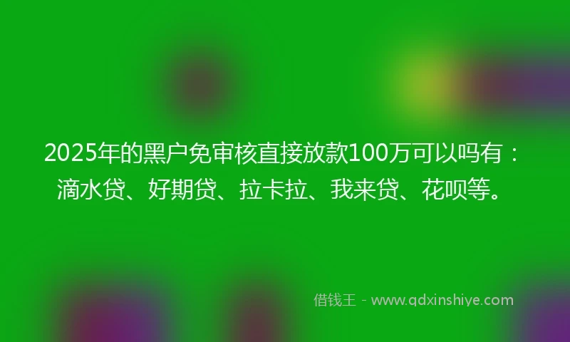 2025年的黑户免审核直接放款100万可以吗有：滴水贷、好期贷、拉卡拉、我来贷、花呗等。