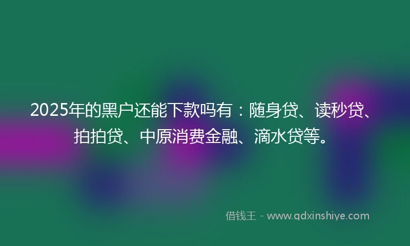 2025年的黑户还能下款吗有：随身贷、读秒贷、拍拍贷、中原消费金融、滴水贷等。