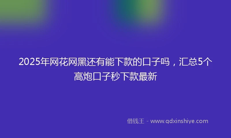 2025年网花网黑还有能下款的口子吗，汇总5个高炮口子秒下款最新