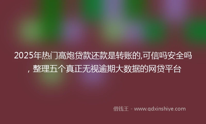 2025年热门高炮贷款还款是转账的,可信吗安全吗，整理五个真正无视逾期大数据的网贷平台