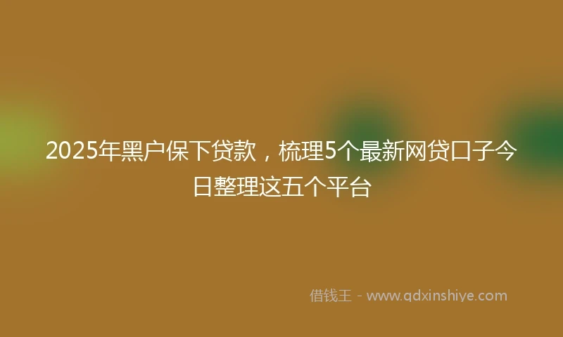 2025年黑户保下贷款，梳理5个最新网贷口子今日整理这五个平台