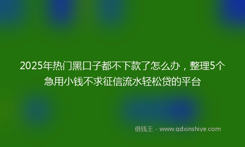 2025年热门黑口子都不下款了怎么办，整理5个急用小钱不求征信流水轻松贷的平台