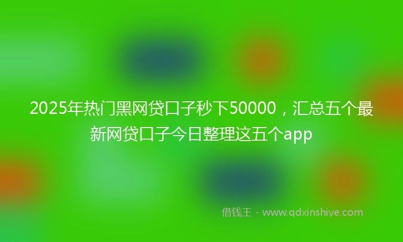2025年热门黑网贷口子秒下50000，汇总五个最新网贷口子今日整理这五个app