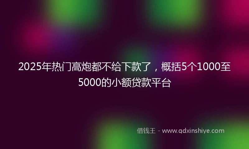 2025年热门高炮都不给下款了，概括5个1000至5000的小额贷款平台