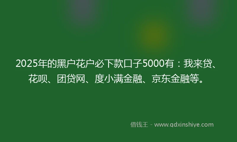2025年的黑户花户必下款口子5000有：我来贷、花呗、团贷网、度小满金融、京东金融等。