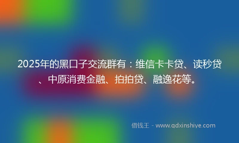2025年的黑口子交流群有：维信卡卡贷、读秒贷、中原消费金融、拍拍贷、融逸花等。