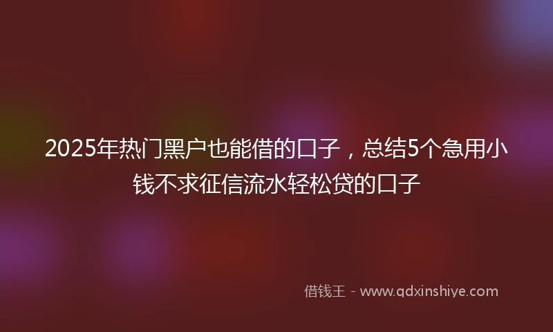 2025年热门黑户也能借的口子，总结5个急用小钱不求征信流水轻松贷的口子