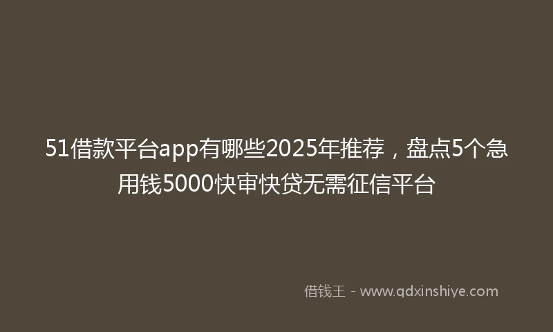 51借款平台app有哪些2025年推荐,盘点5个急用钱5000快审快贷无需征信平台