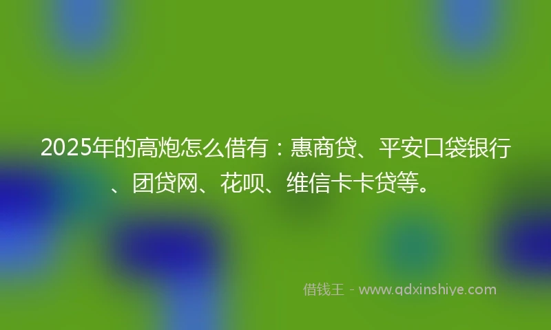 2025年的高炮怎么借有：惠商贷、平安口袋银行、团贷网、花呗、维信卡卡贷等。