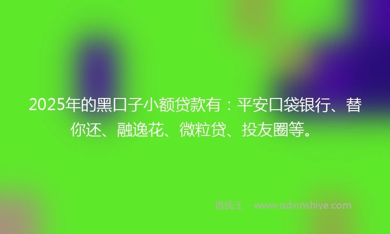 2025年的黑口子小额贷款有：平安口袋银行、替你还、融逸花、微粒贷、投友圈等。