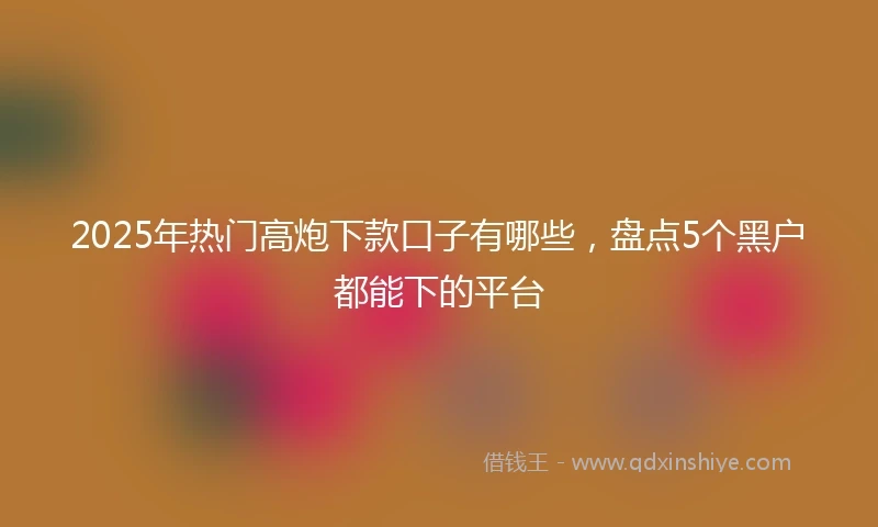 2025年热门高炮下款口子有哪些，盘点5个黑户都能下的平台
