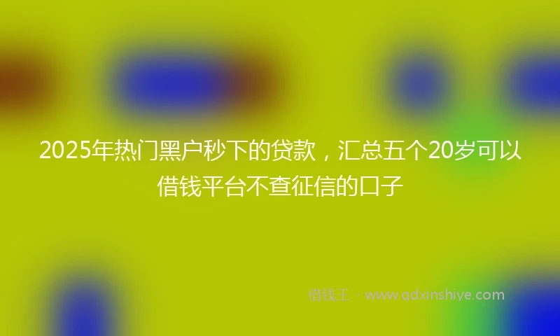 2025年热门黑户秒下的贷款，汇总五个20岁可以借钱平台不查征信的口子