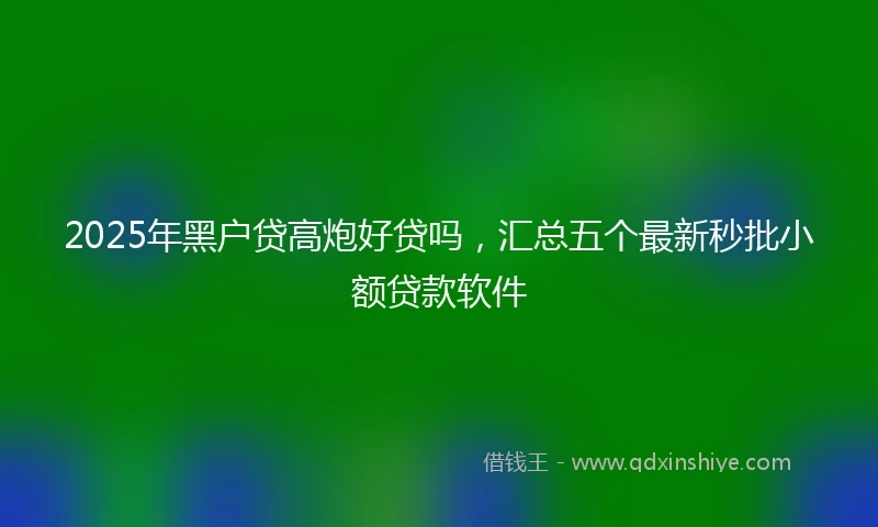2025年黑户贷高炮好贷吗，汇总五个最新秒批小额贷款软件