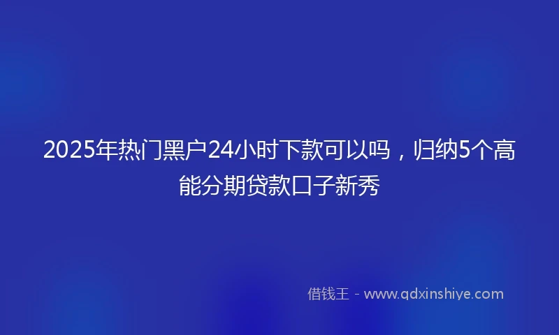2025年热门黑户24小时下款可以吗，归纳5个高能分期贷款口子新秀
