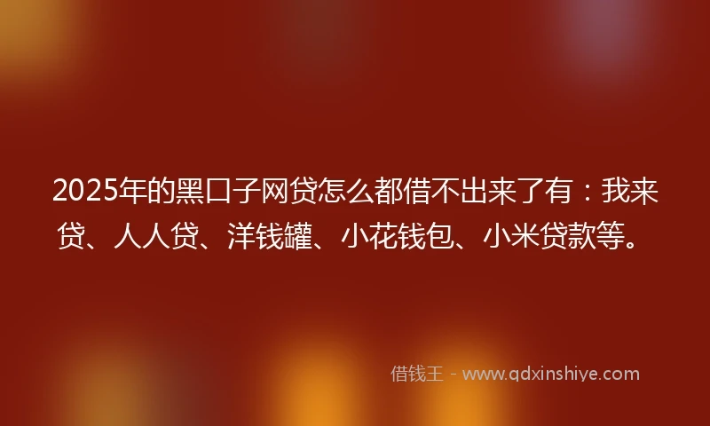 2025年的黑口子网贷怎么都借不出来了有：我来贷、人人贷、洋钱罐、小花钱包、小米贷款等。