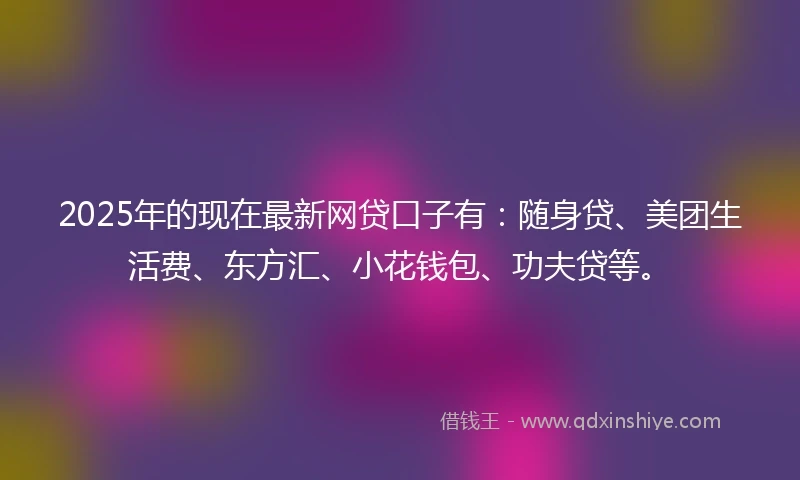 2025年的现在最新网贷口子有：随身贷、美团生活费、东方汇、小花钱包、功夫贷等。
