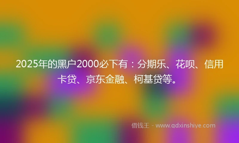 2025年的黑户2000必下有：分期乐、花呗、信用卡贷、京东金融、柯基贷等。