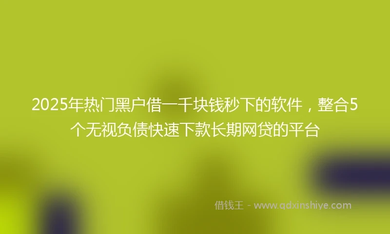 2025年热门黑户借一千块钱秒下的软件，整合5个无视负债快速下款长期网贷的平台