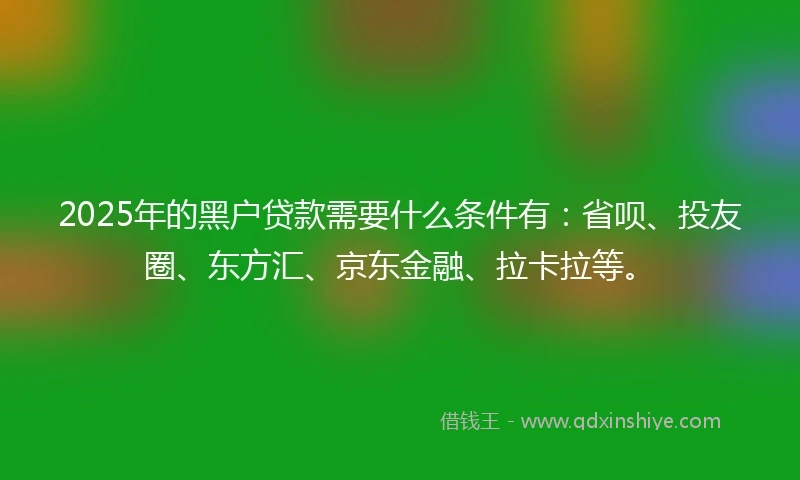 2025年的黑户贷款需要什么条件有：省呗、投友圈、东方汇、京东金融、拉卡拉等。