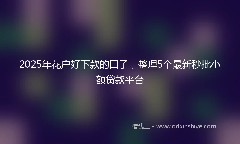 2025年花户好下款的口子，整理5个最新秒批小额贷款平台