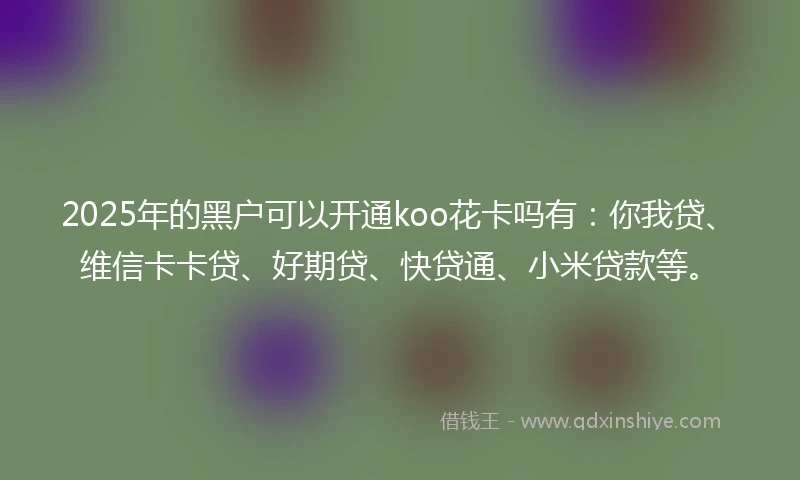 2025年的黑户可以开通koo花卡吗有：你我贷、维信卡卡贷、好期贷、快贷通、小米贷款等。