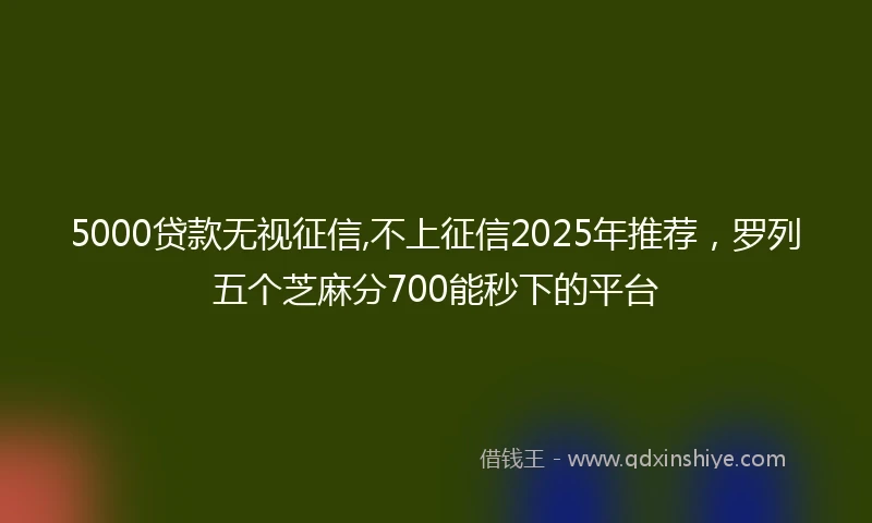 5000贷款无视征信,不上征信2025年推荐，罗列五个芝麻分700能秒下的平台