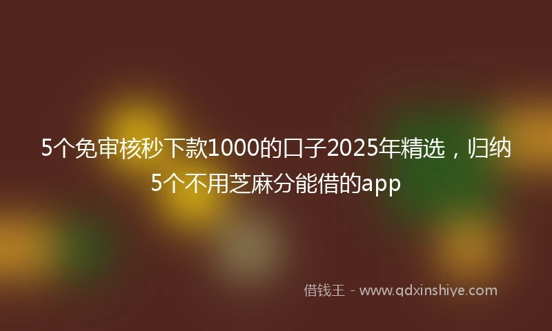 5个免审核秒下款1000的口子2025年精选，归纳5个不用芝麻分能借的app