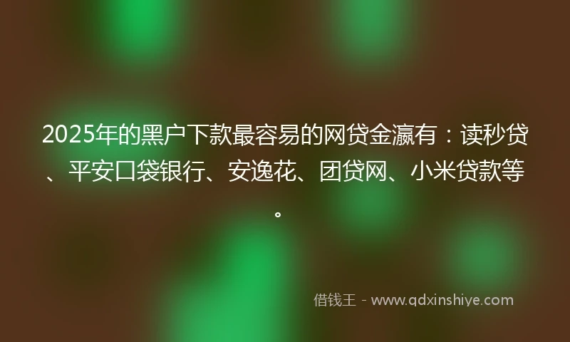 2025年的黑户下款最容易的网贷金瀛有：读秒贷、平安口袋银行、安逸花、团贷网、小米贷款等。