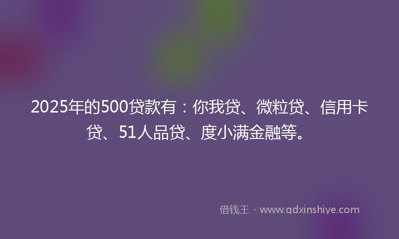 2025年的500贷款有：你我贷、微粒贷、信用卡贷、51人品贷、度小满金融等。