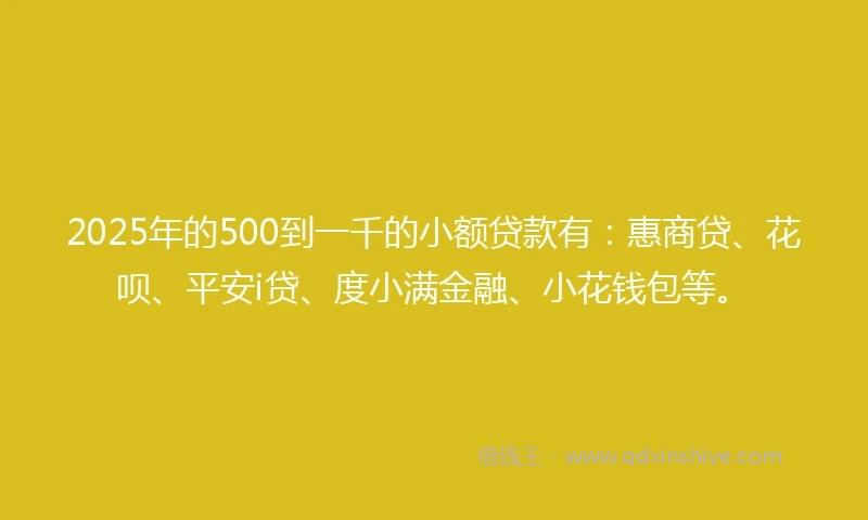 2025年的500到一千的小额贷款有：惠商贷、花呗、平安i贷、度小满金融、小花钱包等。