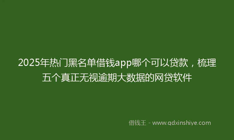 2025年热门黑名单借钱app哪个可以贷款，梳理五个真正无视逾期大数据的网贷软件