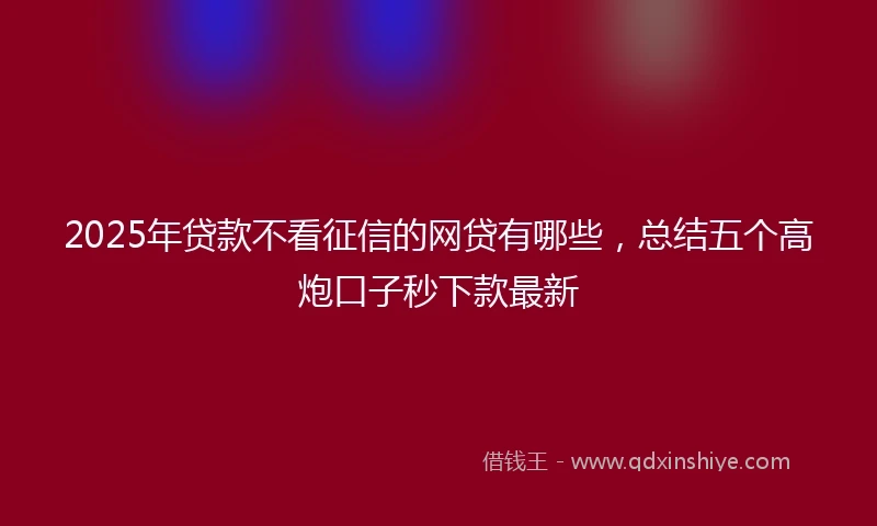 2025年贷款不看征信的网贷有哪些，总结五个高炮口子秒下款最新