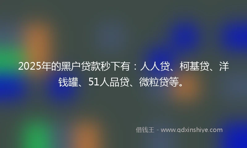 2025年的黑户贷款秒下有：人人贷、柯基贷、洋钱罐、51人品贷、微粒贷等。