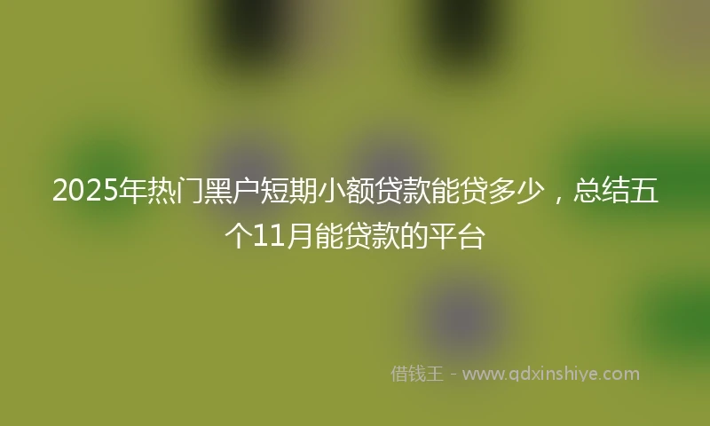 2025年热门黑户短期小额贷款能贷多少，总结五个11月能贷款的平台