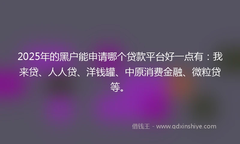 2025年的黑户能申请哪个贷款平台好一点有：我来贷、人人贷、洋钱罐、中原消费金融、微粒贷等。