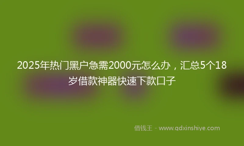 2025年热门黑户急需2000元怎么办，汇总5个18岁借款神器快速下款口子