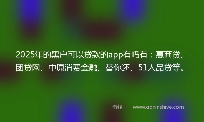 2025年的黑户可以贷款的app有吗有：惠商贷、团贷网、中原消费金融、替你还、51人品贷等。