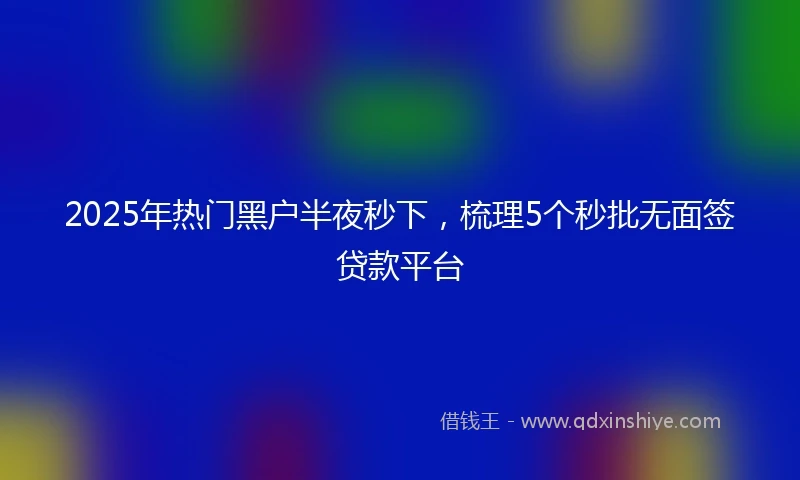 2025年热门黑户半夜秒下，梳理5个秒批无面签贷款平台