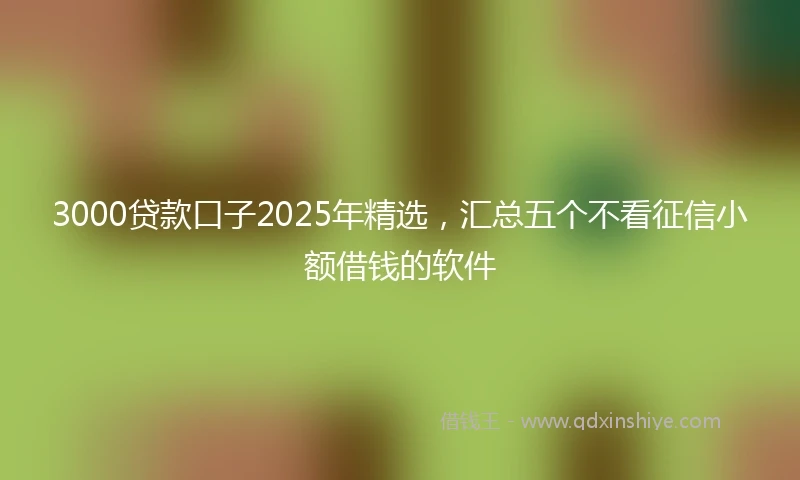 3000贷款口子2025年精选，汇总五个不看征信小额借钱的软件