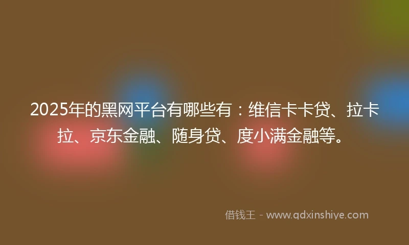 2025年的黑网平台有哪些有：维信卡卡贷、拉卡拉、京东金融、随身贷、度小满金融等。