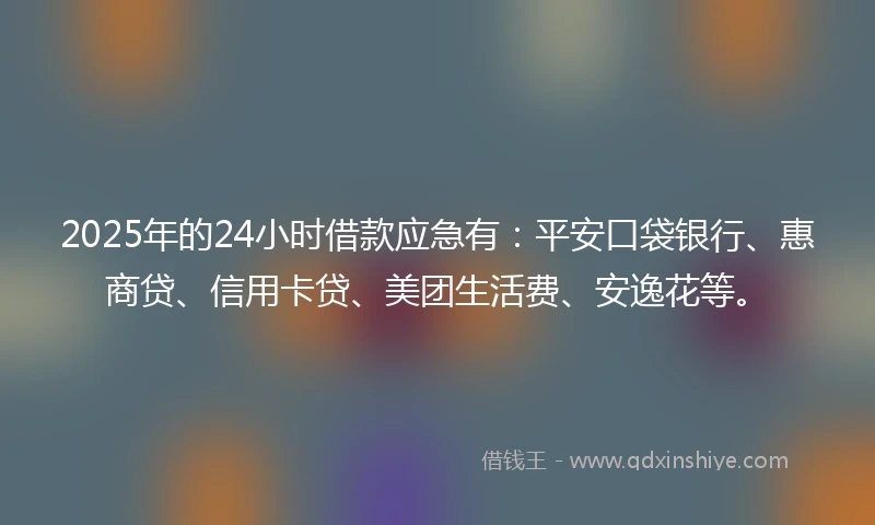 2025年的24小时借款应急有：平安口袋银行、惠商贷、信用卡贷、美团生活费、安逸花等。